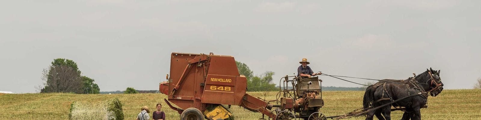 Homepage banner 1