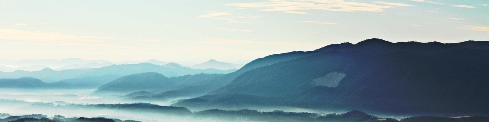 Homepage banner 2